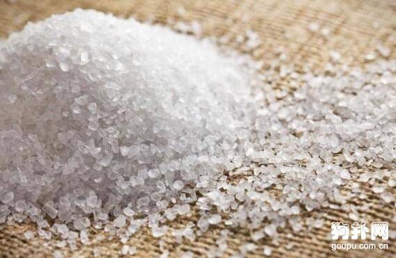 �������ھ��Բ��ܳԵ�10��ʳ��