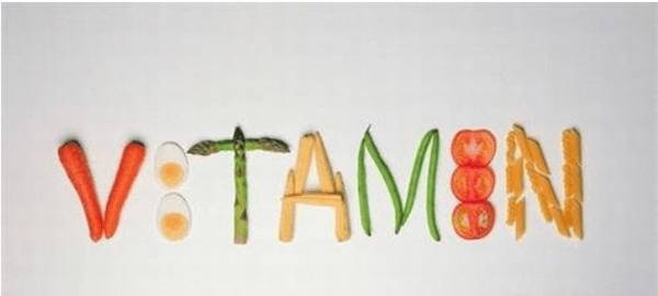 秋天宠物孕期,该从什么营养层面给予填补? 秋天宠物孕期,该从什么营养层面给予填补?