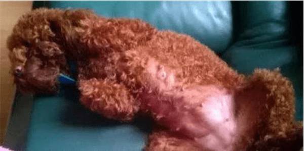 �������в����Գ�ʲô������