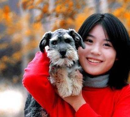 雪纳瑞是什么样的狗狗?优缺点分析,看完你会养吗? 雪纳瑞是什么样的狗狗?优缺点分析,看完你会养吗?