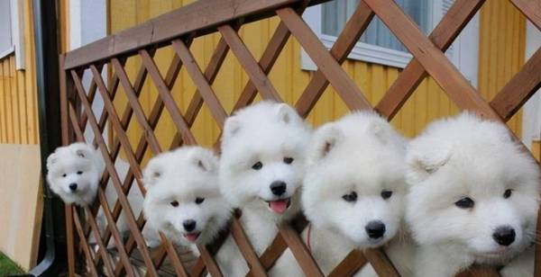 ������ĦҮ��7��ԭ�������ǵ���㣬���ˡ�ͷʹ����