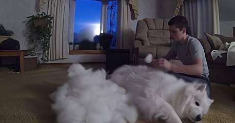 ������ĦҮ��7��ԭ�������ǵ���㣬���ˡ�ͷʹ����