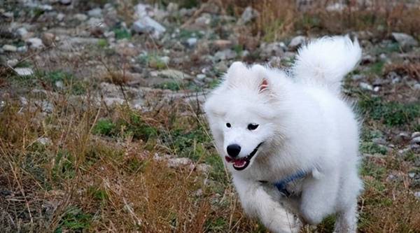 ������ĦҮ��7��ԭ�������ǵ���㣬���ˡ�ͷʹ����