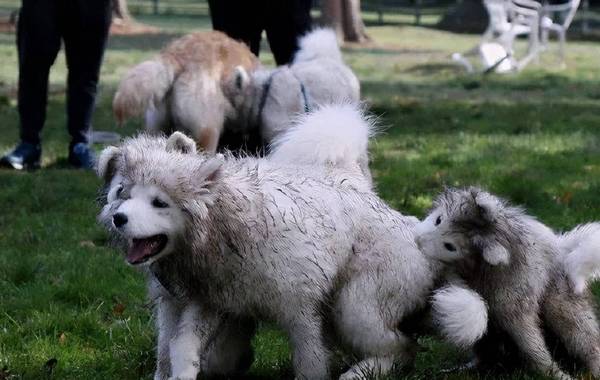 ������ĦҮ��7��ԭ�������ǵ���㣬���ˡ�ͷʹ����