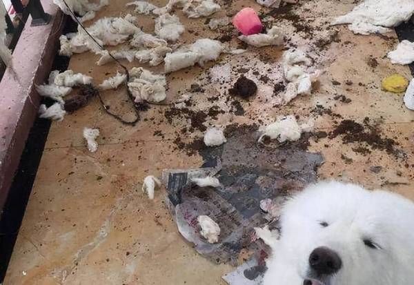 ������ĦҮ��7��ԭ�������ǵ���㣬���ˡ�ͷʹ����