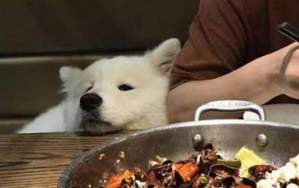 ������ĦҮ��7��ԭ�������ǵ���㣬���ˡ�ͷʹ����