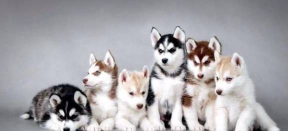 Ʋ����ʿ����ж������������������ܴ��ϲ����ʵ����������Ե��