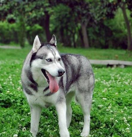 Ʋ����ʿ����ж������������������ܴ��ϲ����ʵ����������Ե��