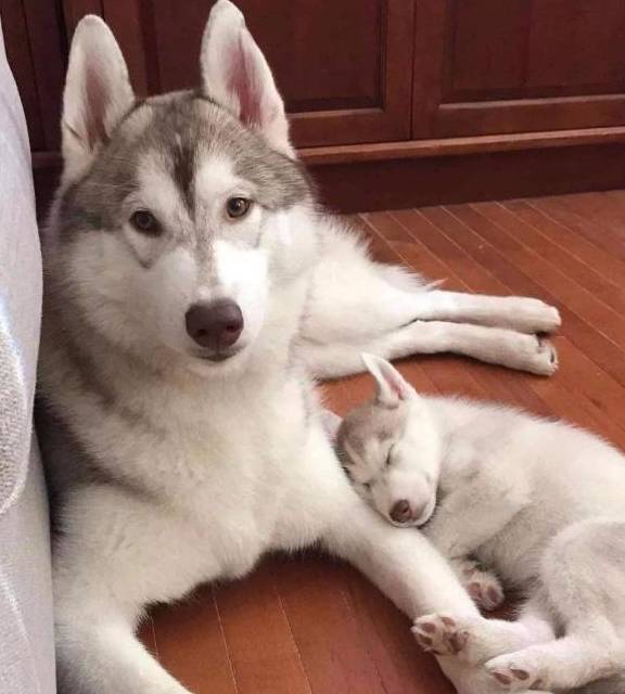 Ʋ����ʿ����ж������������������ܴ��ϲ����ʵ����������Ե��