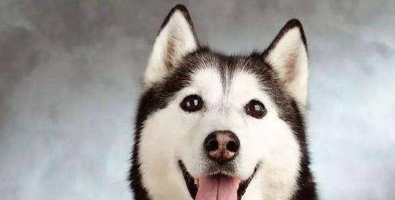 Ʋ����ʿ����ж������������������ܴ��ϲ����ʵ����������Ե��