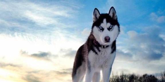 Ʋ����ʿ����ж������������������ܴ��ϲ����ʵ����������Ե��