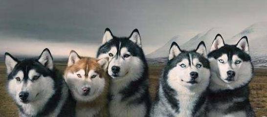 Ʋ����ʿ����ж������������������ܴ��ϲ����ʵ����������Ե��