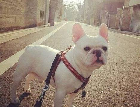 ��5�ֹ������������ǳ����ף�Ҫ���ؼ��������