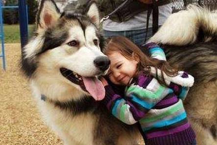 ��5�ֹ������������ǳ����ף�Ҫ���ؼ��������