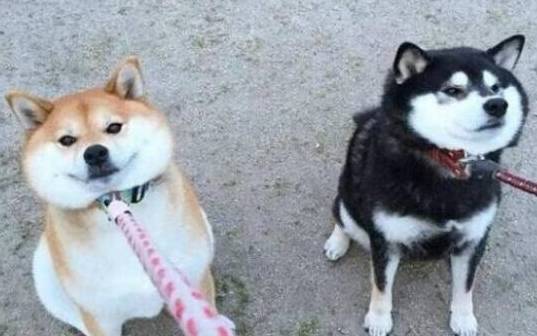 ��5�ֹ������������ǳ����ף�Ҫ���ؼ��������