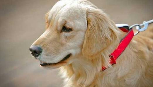 ��5�ֹ������������ǳ����ף�Ҫ���ؼ��������