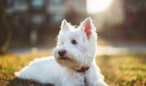 ��5�ֹ������������ǳ����ף�Ҫ���ؼ��������