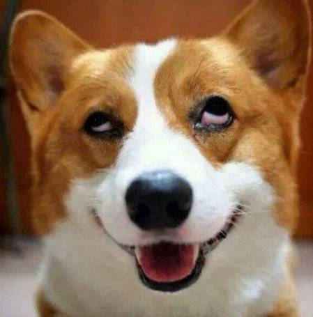 �޹���������5�ֹ�����������Ҳ���࣬������ʼ���ι��