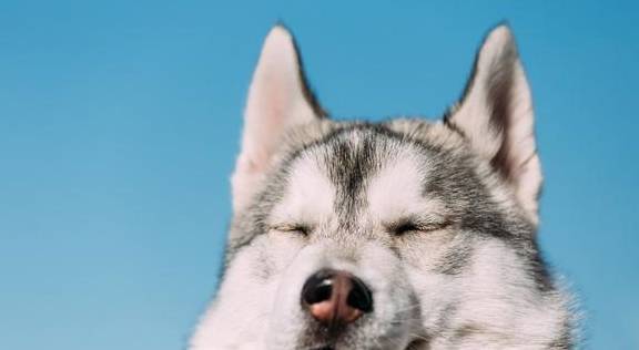 �޹���������5�ֹ�����������Ҳ���࣬������ʼ���ι��