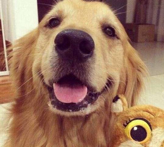 �޹���������5�ֹ�����������Ҳ���࣬������ʼ���ι��