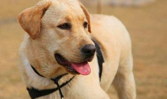 �޹���������5�ֹ�����������Ҳ���࣬������ʼ���ι��