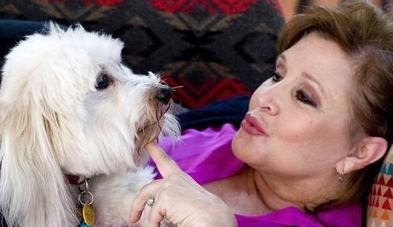 �޹���������5�ֹ�����������Ҳ���࣬������ʼ���ι��