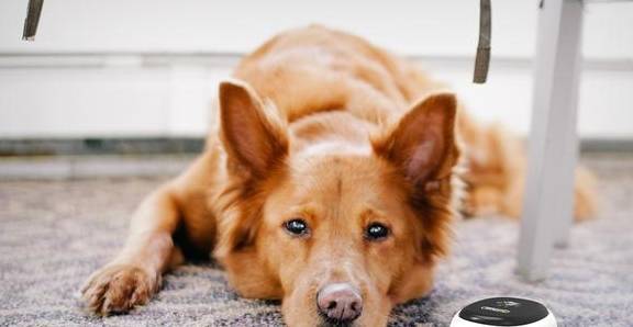 ���˹���8��ͷ�����й������ڼң�����������û���N��Ȥ��