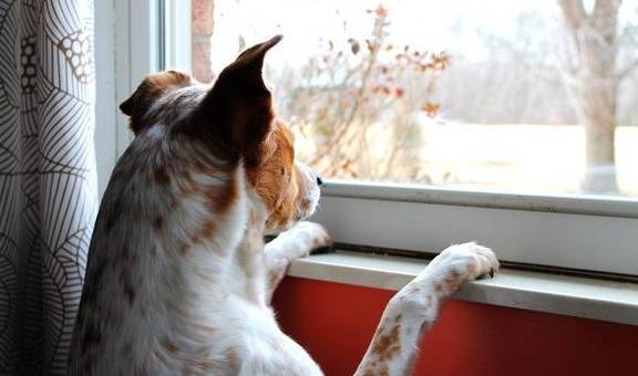 ���˹���8��ͷ�����й������ڼң�����������û���N��Ȥ��