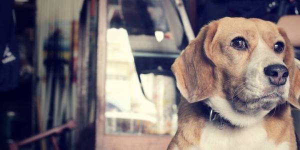 ���ʵ����8��С������������������һ���ӣ�