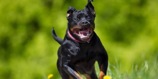 ���ʵ����8��С������������������һ���ӣ�