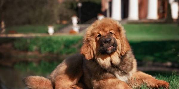 ���ʵ����8��С������������������һ���ӣ�