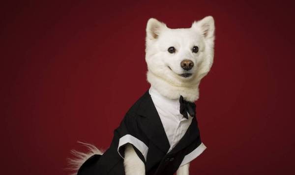 ���ʵ����8��С������������������һ���ӣ�