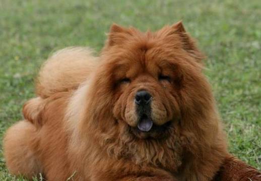 ����ҧ�����ֹ�����������С���ӵ�Ҫ���⣬���п��ܵ�һ�ֺܶ���