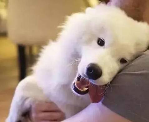 ����ĦҮ����Щ�ô��أ���5���洦��ʹ�����������