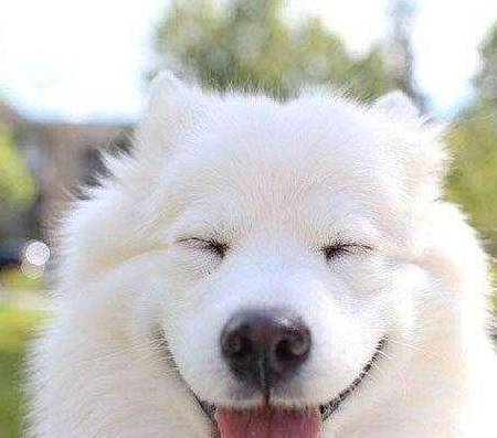 ����ĦҮ����Щ�ô��أ���5���洦��ʹ�����������