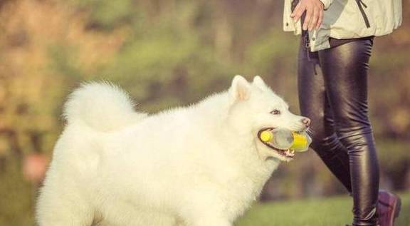 ����ĦҮ����Щ�ô��أ���5���洦��ʹ�����������