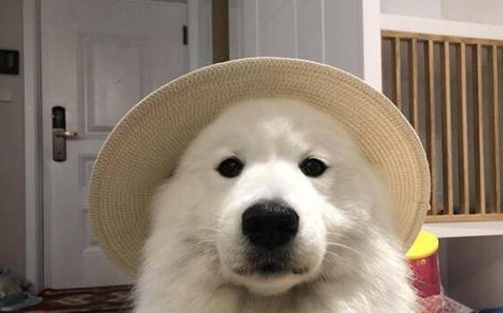 ����ĦҮ����Щ�ô��أ���5���洦��ʹ�����������