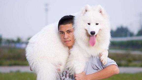 ����ĦҮ����Щ�ô��أ���5���洦��ʹ�����������