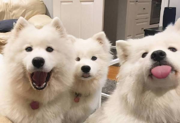 ������ĦҮ��7��ԭ�������ǵ���㣬���ˡ�ͷʹ����