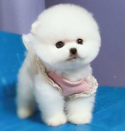 �Ը�õĹ�����ͨ����Ϊ�������һ�ӭ