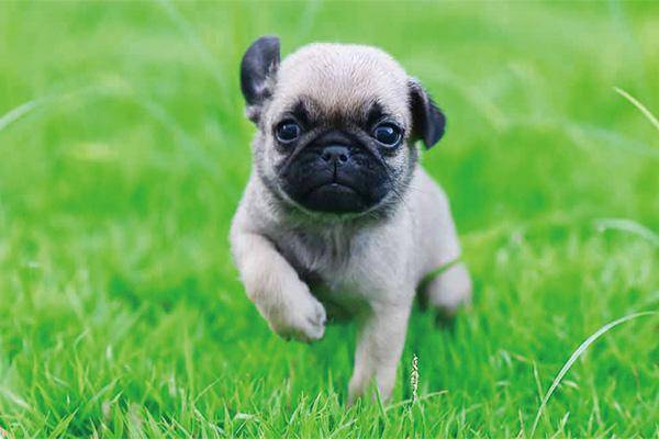 �Ը�õĹ�����ͨ����Ϊ�������һ�ӭ