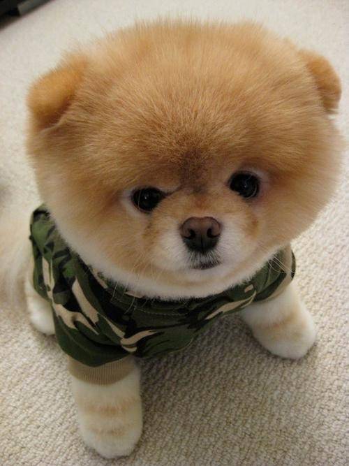 �Ը�õĹ�����ͨ����Ϊ�������һ�ӭ