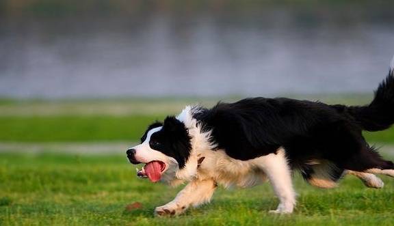 ����Ա�����¡�����5�ֹ������뵱��Ȯ��ңң�����ˣ�