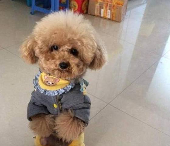 ����Ա�����¡�����5�ֹ������뵱��Ȯ��ңң�����ˣ�