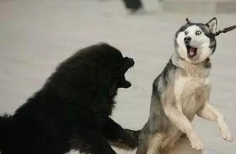 ����Ա�����¡�����5�ֹ������뵱��Ȯ��ңң�����ˣ�