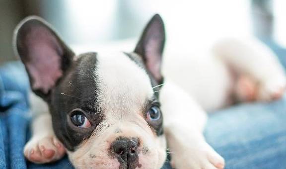 ����̫������ֹ���������������ȫ�ǿ����ϻۣ�ʵ���ϱ��úܣ�