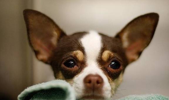 ����̫������ֹ���������������ȫ�ǿ����ϻۣ�ʵ���ϱ��úܣ�