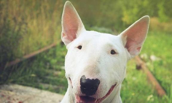 ����̫������ֹ���������������ȫ�ǿ����ϻۣ�ʵ���ϱ��úܣ�