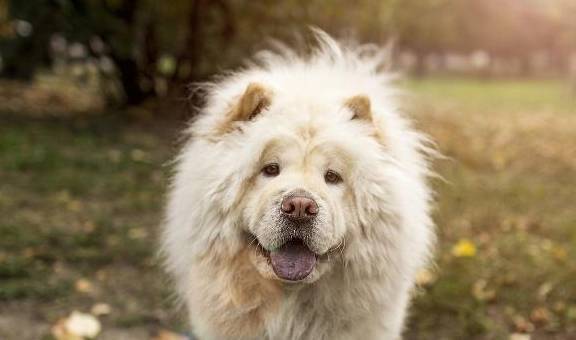 ����̫������ֹ���������������ȫ�ǿ����ϻۣ�ʵ���ϱ��úܣ�