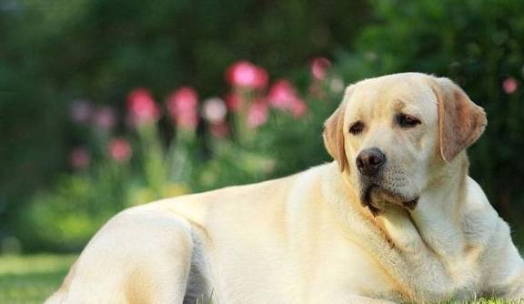 ˵�����������ࡱ��Ȱ���ȿ��ǵ��������⣬��ֹ���ף�